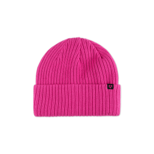 Forecast Beanie - Fusion
